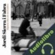 Audiolibro Algunos días de noviembre Jordi Sierra i Fabra