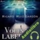 Audiolibro Voces del laberinto Ricard Ruiz Garzón