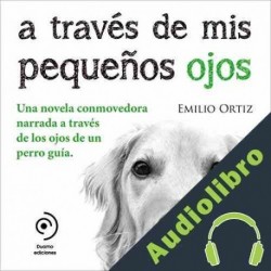 Audiolibro A través de mis pequeños ojos Emilio Ortiz