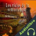 Audiolibro Los rieles de la somnolencia Gerardo Brauer