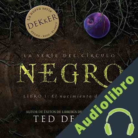 Audiolibro Negro Ted Dekker