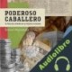 Audiolibro Poderoso caballero Daniel Matamala