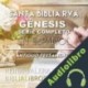 Audiolibro Santa Biblia RVA Génesis Serie Completo en Español Reina Valera