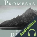 Audiolibro Promesas de dios para cada una de sus necesidades Jack Countryman