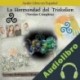 Audiolibro La Hermandad del Triskelion German Rodriguez Citraro