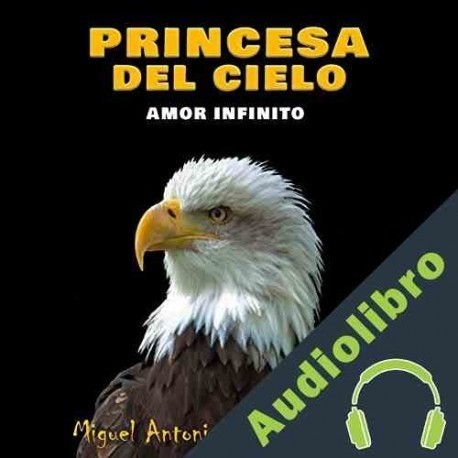 Audiolibro Princesa Del Cielo Miguel Antonio Sanchez Castillo