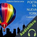Audiolibro Poeta en Nueva York, comentarios Federico García Lorca