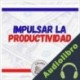 Audiolibro Impulsar La Productividad Libroteka