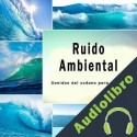 Audiolibro Ruido ambiental Charlie Mason