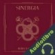 Audiolibro Sinergia Rebeca Stones