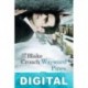 Wayward Pines. El paraíso Blake Crouch