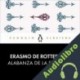 Audiolibro Alabanza de la estupidez Erasmo de Rotterdam