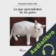 Audiolibro Lo que aprendemos de los gatos Paloma Díaz-Mas