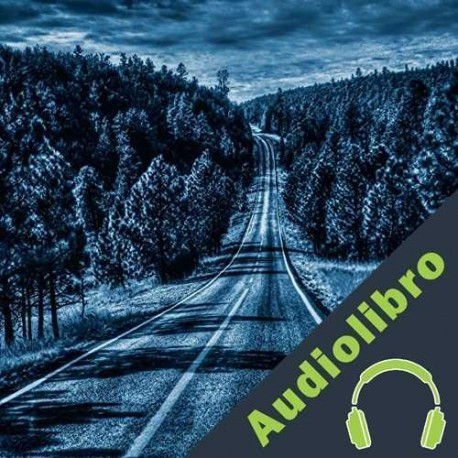 Audiolibro Test more included pooja s g