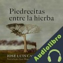 Audiolibro Piedrecitas entre la hierba José Luis Castro