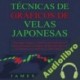 Audiolibro Técnicas de Gráficos de Velas Japonesas James Abbott