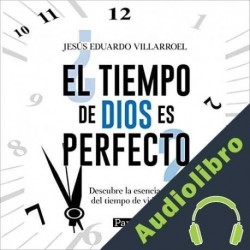 Audiolibro ¿El tiempo de Dios es perfecto?: Jesús Eduardo Villarroel