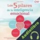 Audiolibro Los 5 pilares de la inteligencia emocional Isabell Seibach