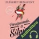 Audiolibro Persiguiendo a Silvia Elísabet Benavent