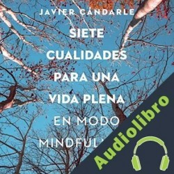 Audiolibro Siete cualidades para una vida plena Javier Cándarle