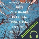 Audiolibro Siete cualidades para una vida plena Javier Cándarle