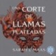 Audiolibro Una corte de llamas plateadas Sarah J. Maas