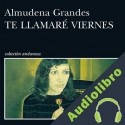 Audiolibro Te llamaré Viernes Almudena Grandes