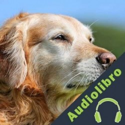 Audiolibro Alimentación del Perro de Edad Avanzada Cresça S.A.