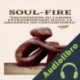 Audiolibro Soulfire Axel Desarden