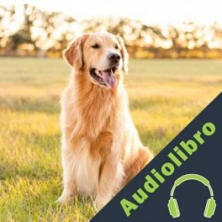 Audiolibro Alimentación del Perro mayor Cresça S.A.
