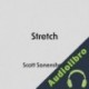 Audiolibro Stretch Scott Sonenshein
