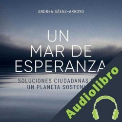 Audiolibro Un mar de esperanza Andrea Sáenz-Arroyo