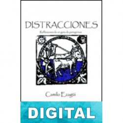 Distracciones Camilo Ezagui