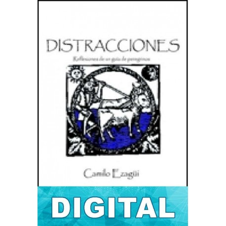 Distracciones Camilo Ezagui