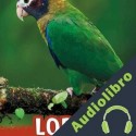 Audiolibro Loros Mari Schuh