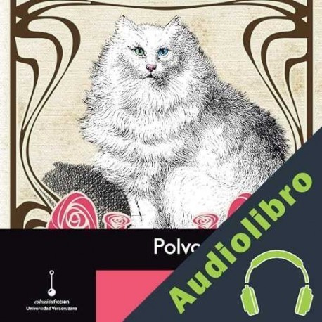 Audiolibro Polvos de arroz Sergio Galindo