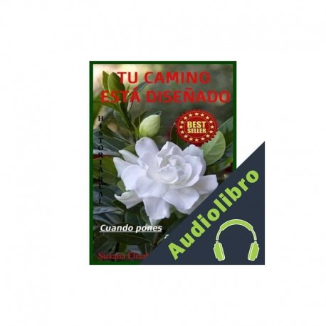 Audiolibro TU CAMINO ESTA DISEÑADO Susana Elizabeth Moran Martinez